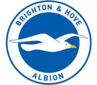 BadgeBrighton & Hove Albion