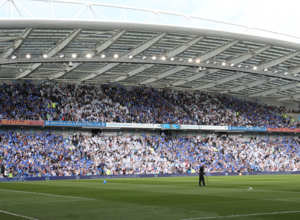Estadio del Brighton & Hove Albion